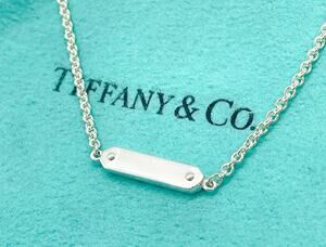 Tiffany & Co. Mini ID Tag Bar Pendant Chain Necklace 16" w/ Pouch